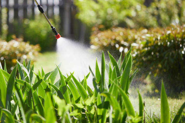 Tamper-Resistant Bait Stations for Rodents in French Valley