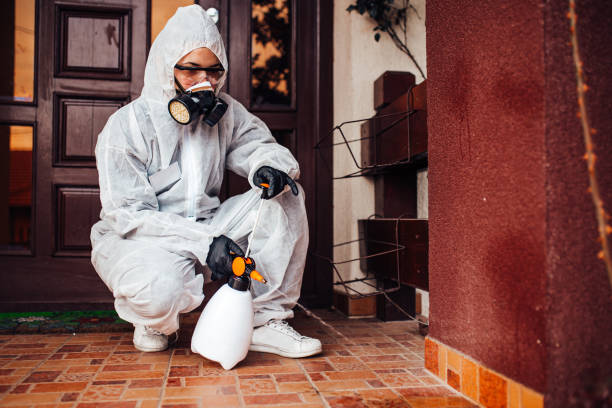Attic and Crawl Space Rodent Treatment in French Valley